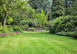 Optimiser l'expérience du jardin à Le Grand-Village-Plage