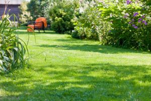 travaux jardin et paysage Le Grand-Village-Plage